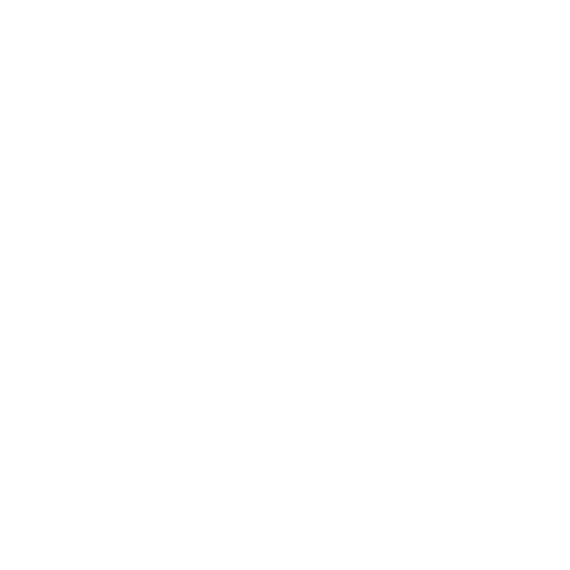 Icon-Image - magnifying glass