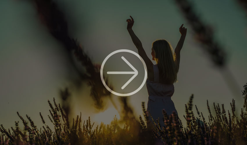 Woman stretches her arms upward in a lavender field at sunset.