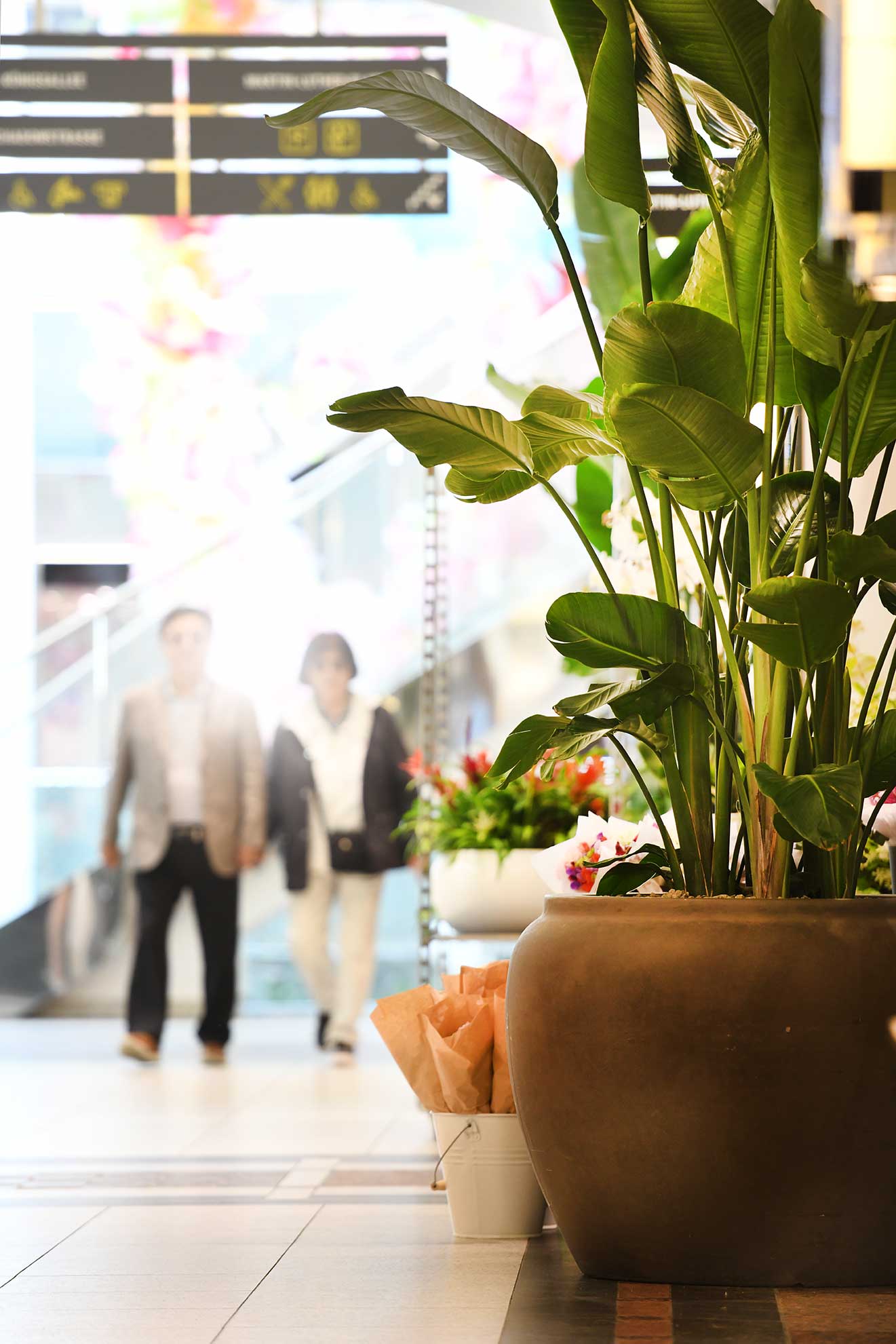 Ein lebendiger Innenraum mit großen grünen Pflanzen, dekorativen Blumen und verschwommenen Figuren von Fußgängern im Hintergrund.
