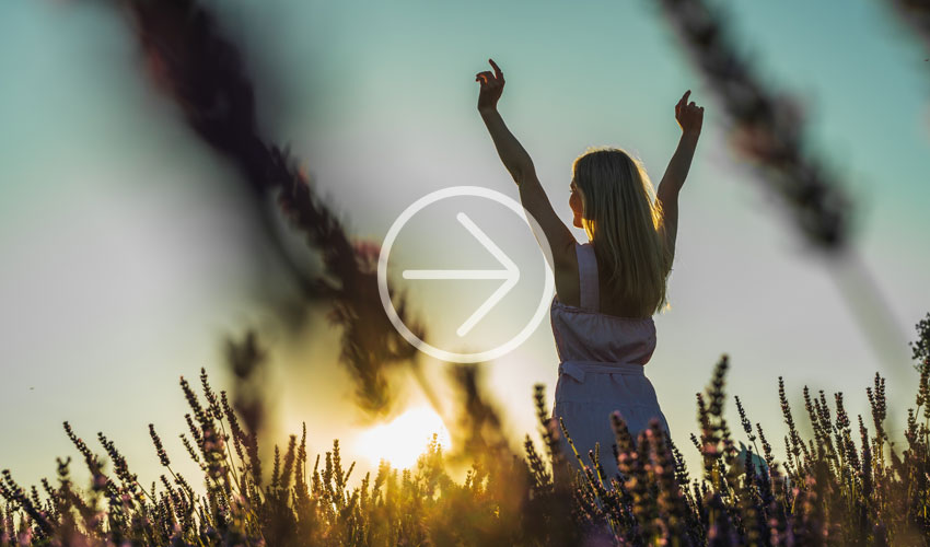 Moodbild: L´Occitane